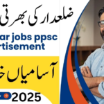 Zilladar Jobs 2024 in Pakistan – Apply Now through PPSC